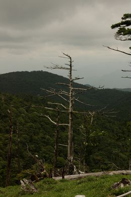 ���Ð��쏊�̋��{�� �tك��B�ʐ^�@�J���[�@ICC�v���t�@�C���A��